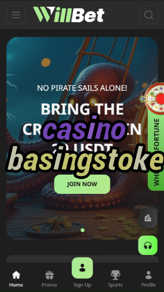 casino basingstoke-asdasdzhjkds.com
